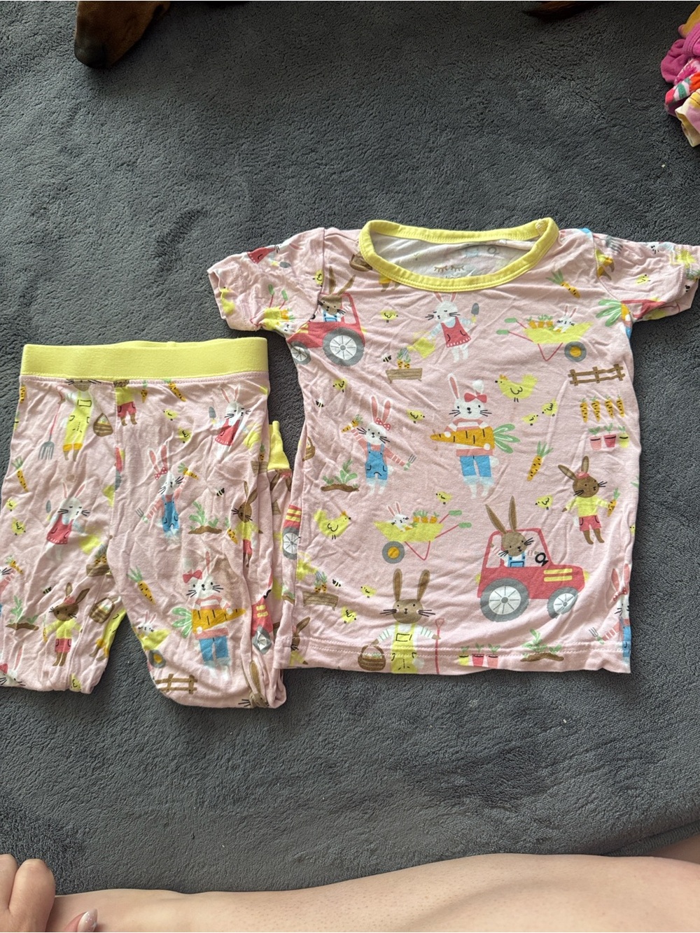 Little Sleepies Easter pajamas set 12-18 months